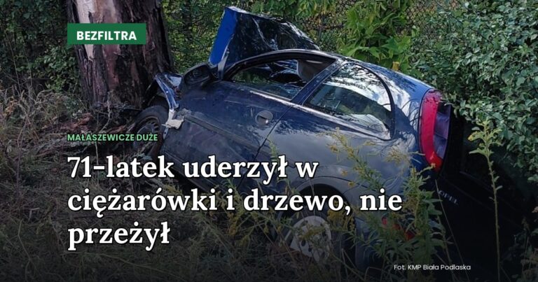 71-latek uderzył w ciężarówki i drzewo, nie przeżył — MAŁASZEWICZE DUŻE